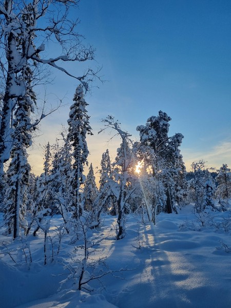 Stemningen ble lysnet av fantastisk vintersol